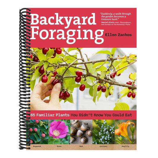 Backyard Foraging: 65 Familiar Plants You Didn't Know You Could Eat