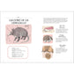 Wildlife Anatomy: The Curious Lives & Features of Wild Animals Around the World