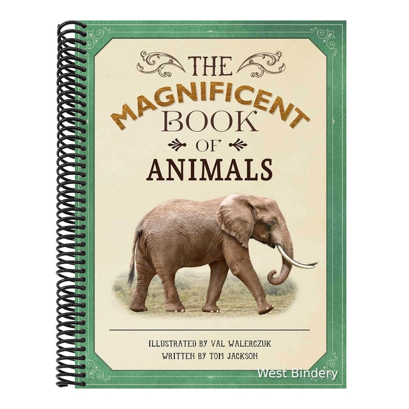 The Magnificent Book of Animals