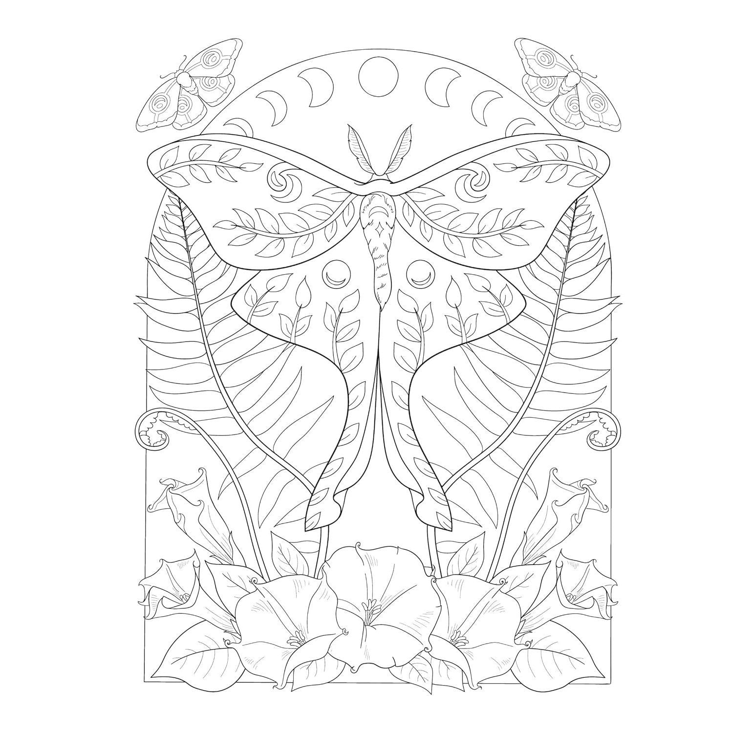 Creative Haven Witchcraft Coloring Book: Spellbinding Designs