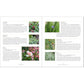 Master Recipes from the Herbal Apothecary: 375 Tinctures, Salves, Teas, Capsules, Oils, and Washes for Whole-Body Health and Wellness (Spiral Bound)