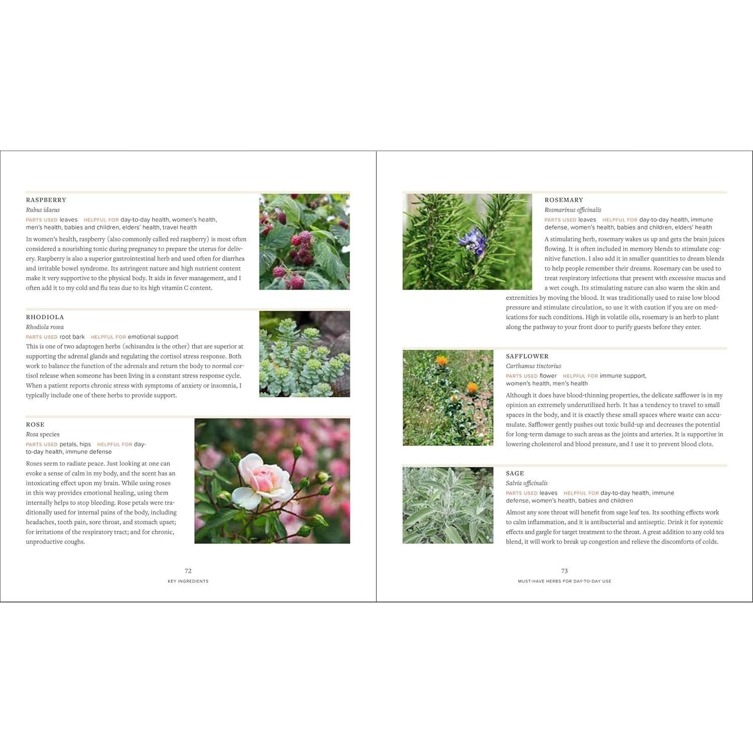 Master Recipes from the Herbal Apothecary: 375 Tinctures, Salves, Teas, Capsules, Oils, and Washes for Whole-Body Health and Wellness (Spiral Bound)