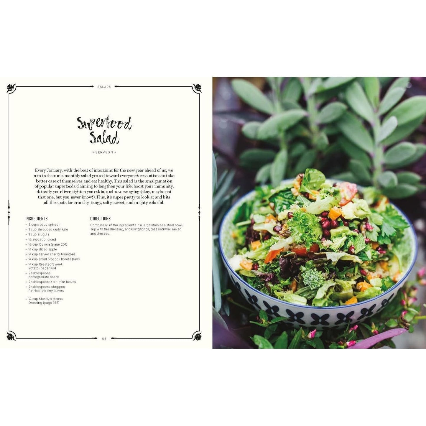 Mandy's Gourmet Salads: Recipes for Lettuce and Life (Spiral Bound)