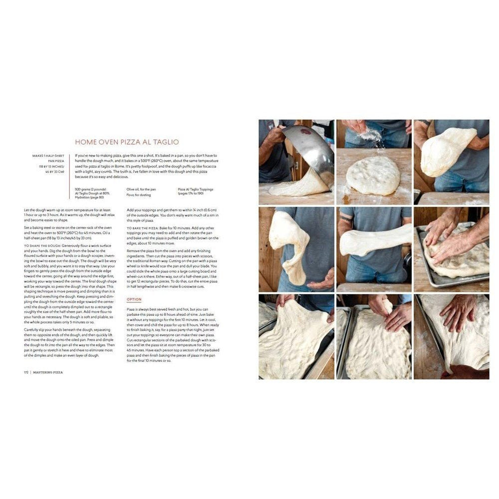 Mastering Pizza: The Art and Practice of Handmade Pizza, Focaccia, and Calzone [A Cookbook] (Spiral Bound)