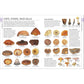 Mushrooms: How to Identify and Gather Wild Mushrooms and Other Fungi (Spiral Bound)