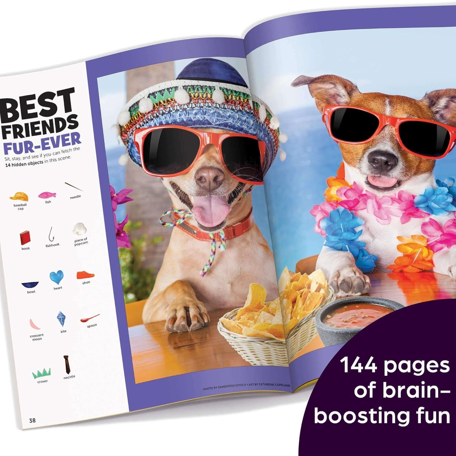 The Hardest Hidden Pictures Book Ever: Ultra-Challenging Brain Games for Kids Ages 8-12, Advanced Seek and Find Puzzles Book with Over 1,500 Hidden Object (Spiral Bound)