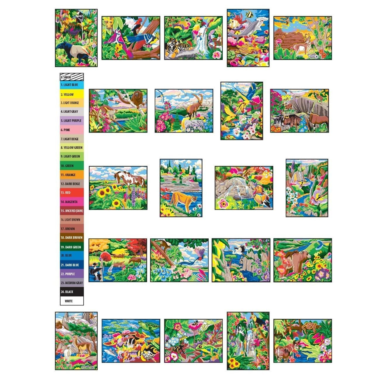 Creative Haven Wonders of Nature Color by Number