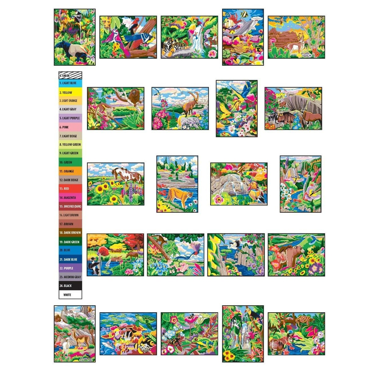 Creative Haven Wonders of Nature Color by Number