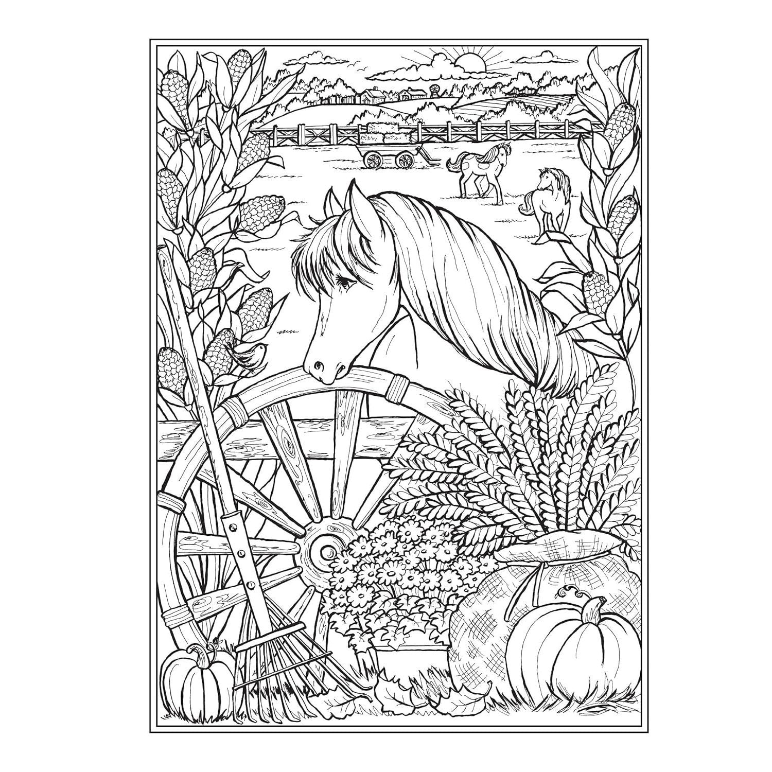 Creative Haven Autumn Harvest Coloring Book