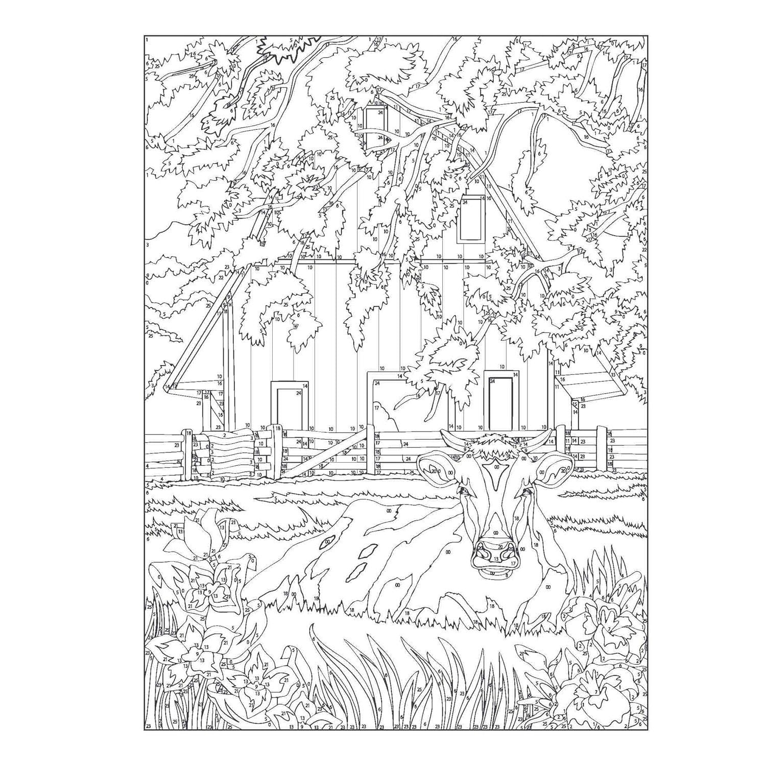 Creative Haven Country Scenes Color by Number Coloring Book