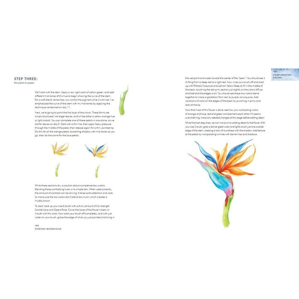 Everyday Watercolor: Learn to Paint Watercolor in 30 Days (Spiral Bound)