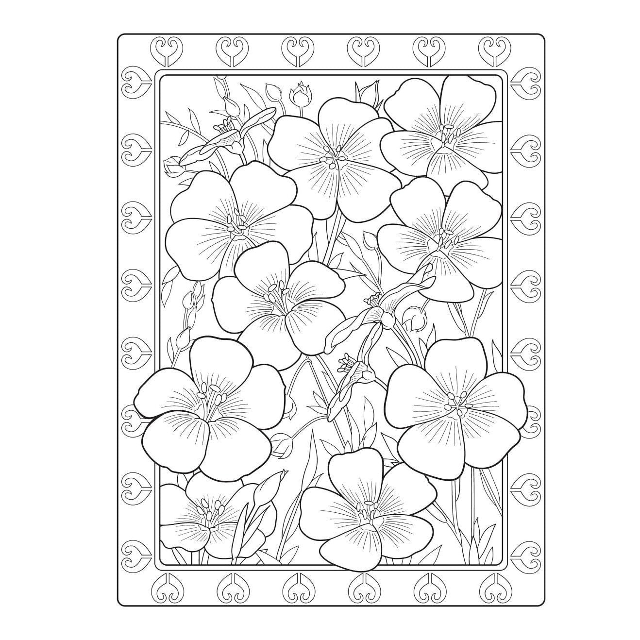 Creative Haven Flowers of the World Coloring Book