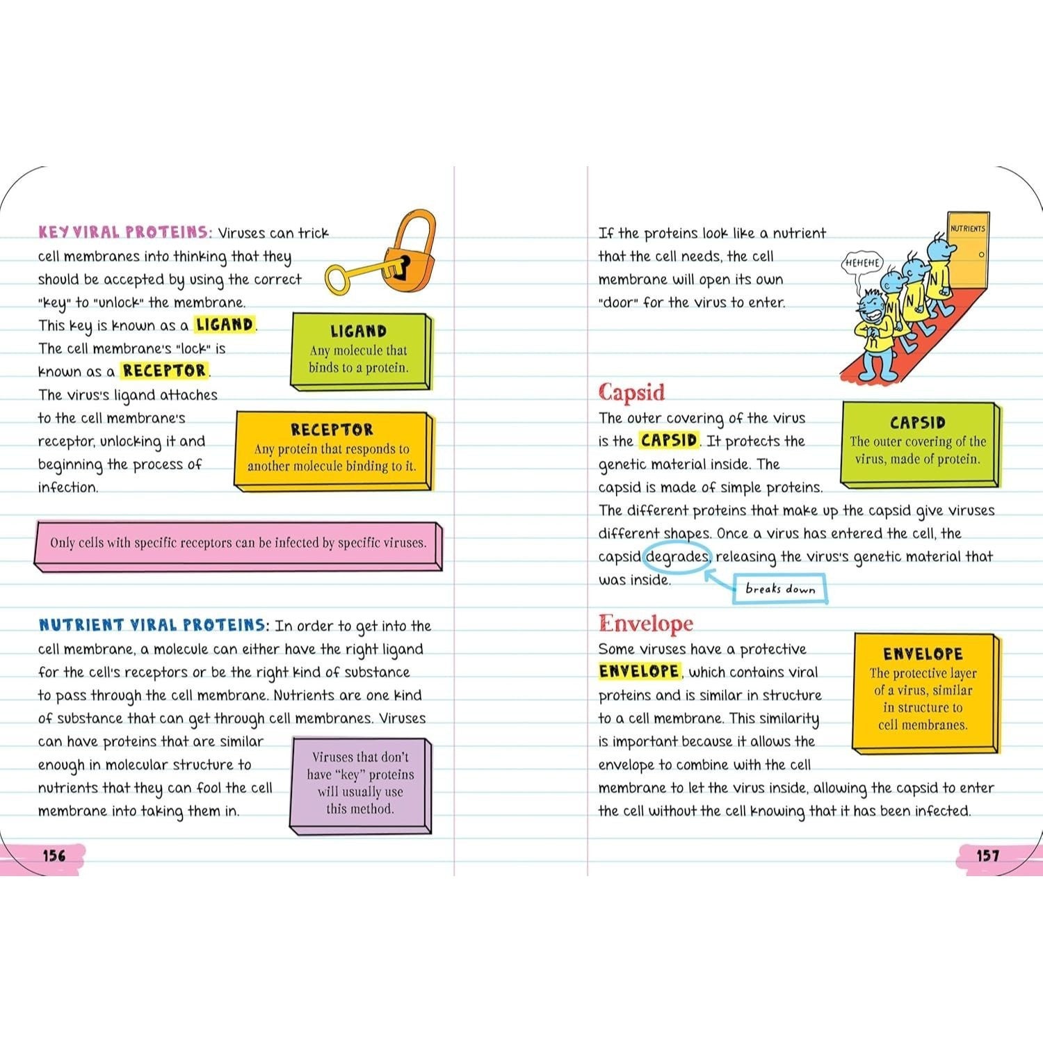 Everything You Need to Ace Biology in One Big Fat Notebook (Big Fat Notebooks) (Spiral Bound)