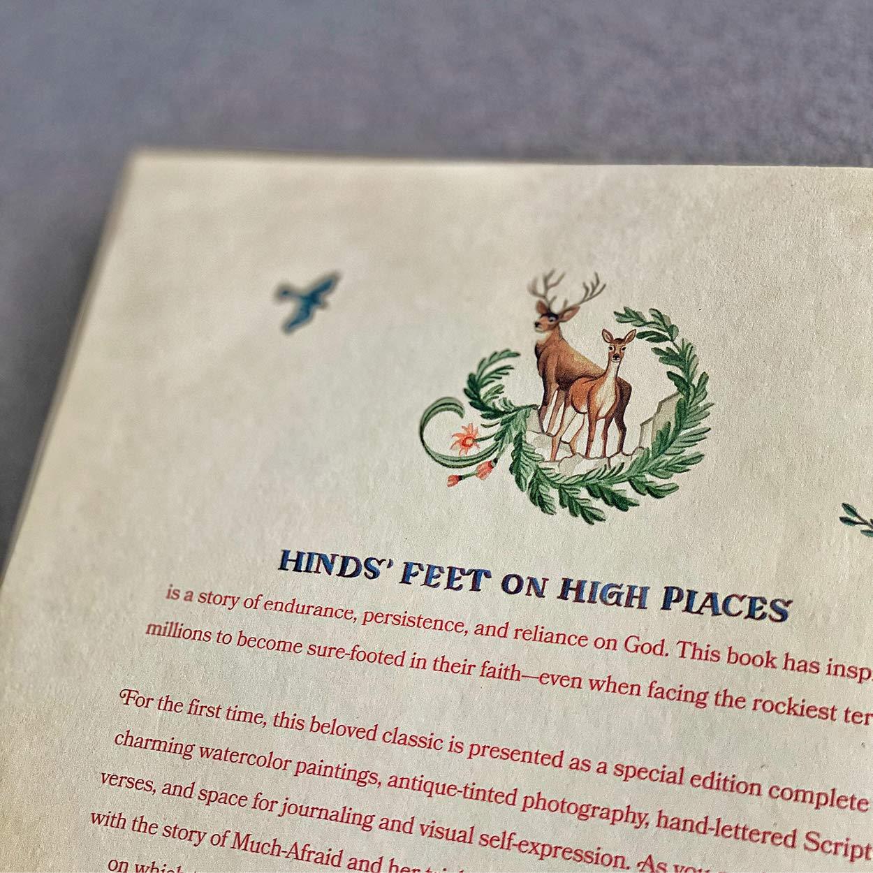 Hinds' Feet on High Places: An Engaging Visual Journey (Spiral Bound)