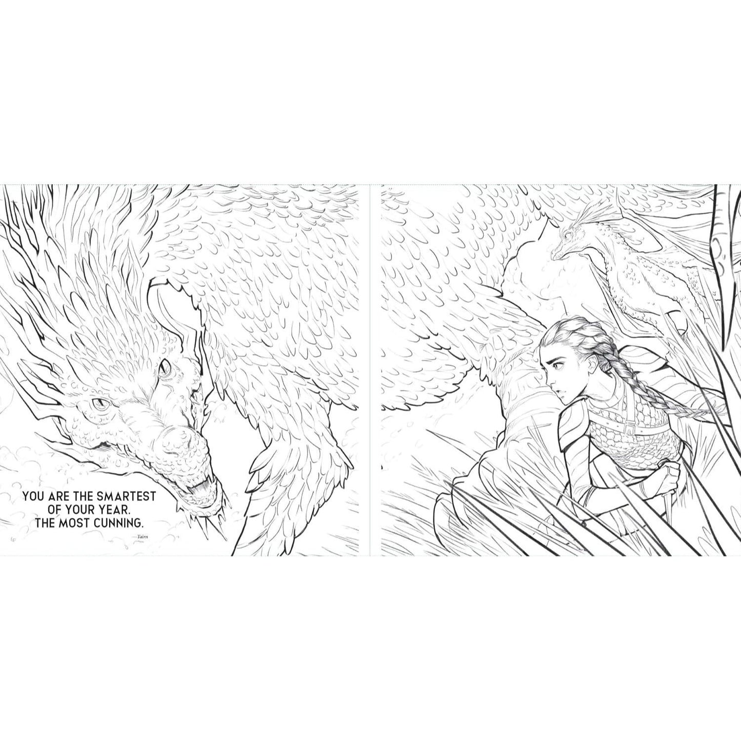 Fourth Wing: The Official Coloring Book