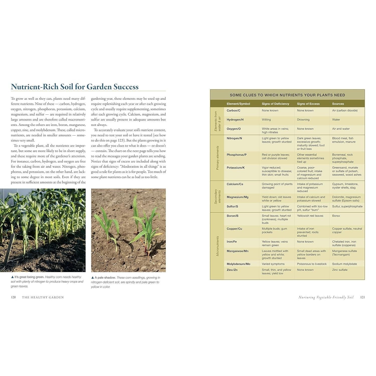 The Vegetable Gardener's Bible, 2nd Edition: Discover Ed's High-Yield W-O-R-D System for All North American Gardening Regions: Wide Rows, Organic Methods, (10TH ed.) (Spiral Bound)