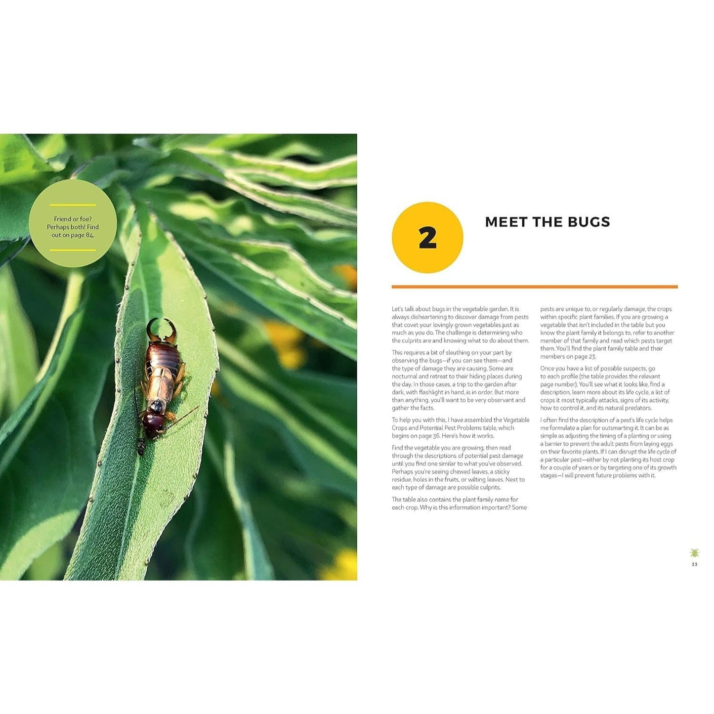 The Vegetable Garden Pest Handbook: Identify and Solve Common Pest Problems on Edible Plants - All Natural Solutions!