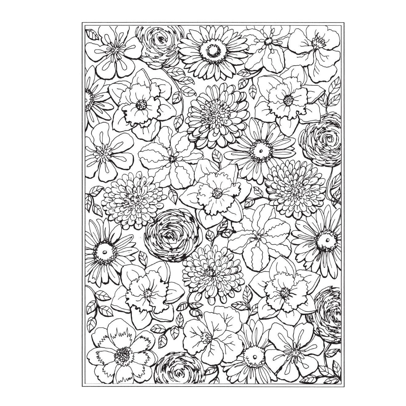Creative Haven Spring Scenes Coloring Book
