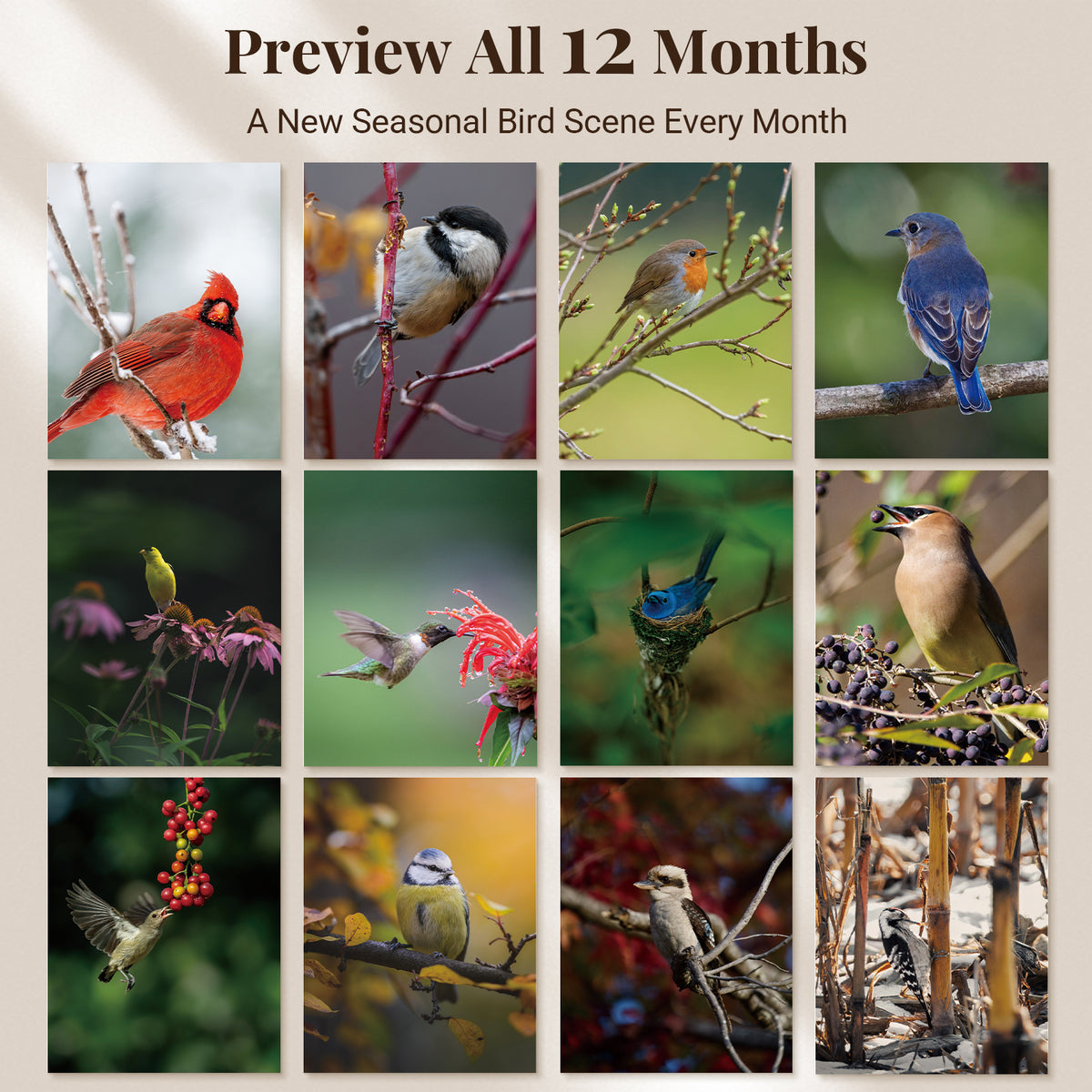 MUKAWA 2027 Bird Wall Calendar, 12 Months of Backyard Bird Scenes