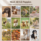 MUKAWA 2027 Dog Wall Calendar, 12 Months of Cute Puppy Scenes