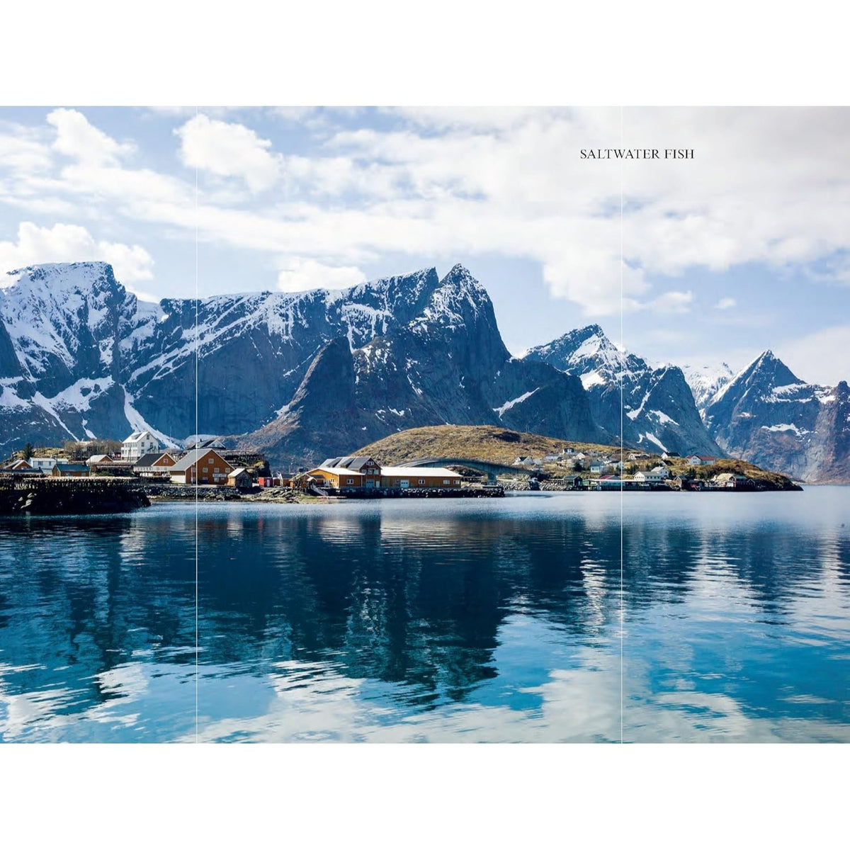 The Nordic Cookbook