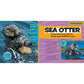 National Geographic Little Kids First Big Book of the Ocean (National Geographic Little Kids First Big Books) (Spiral Bound)
