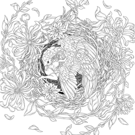 Mythographic Color and Discover: Aviary: An Artist's Coloring Book of Winged Beauties