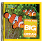 National Geographic Little Kids First Big Book of the Ocean (National Geographic Little Kids First Big Books) (Spiral Bound)