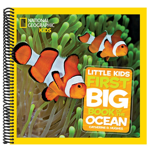 National Geographic Little Kids First Big Book of the Ocean (National Geographic Little Kids First Big Books) (Spiral Bound)