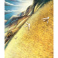God's Colorful Kingdom Storybook Bible: The Story of God's Big Diverse Family