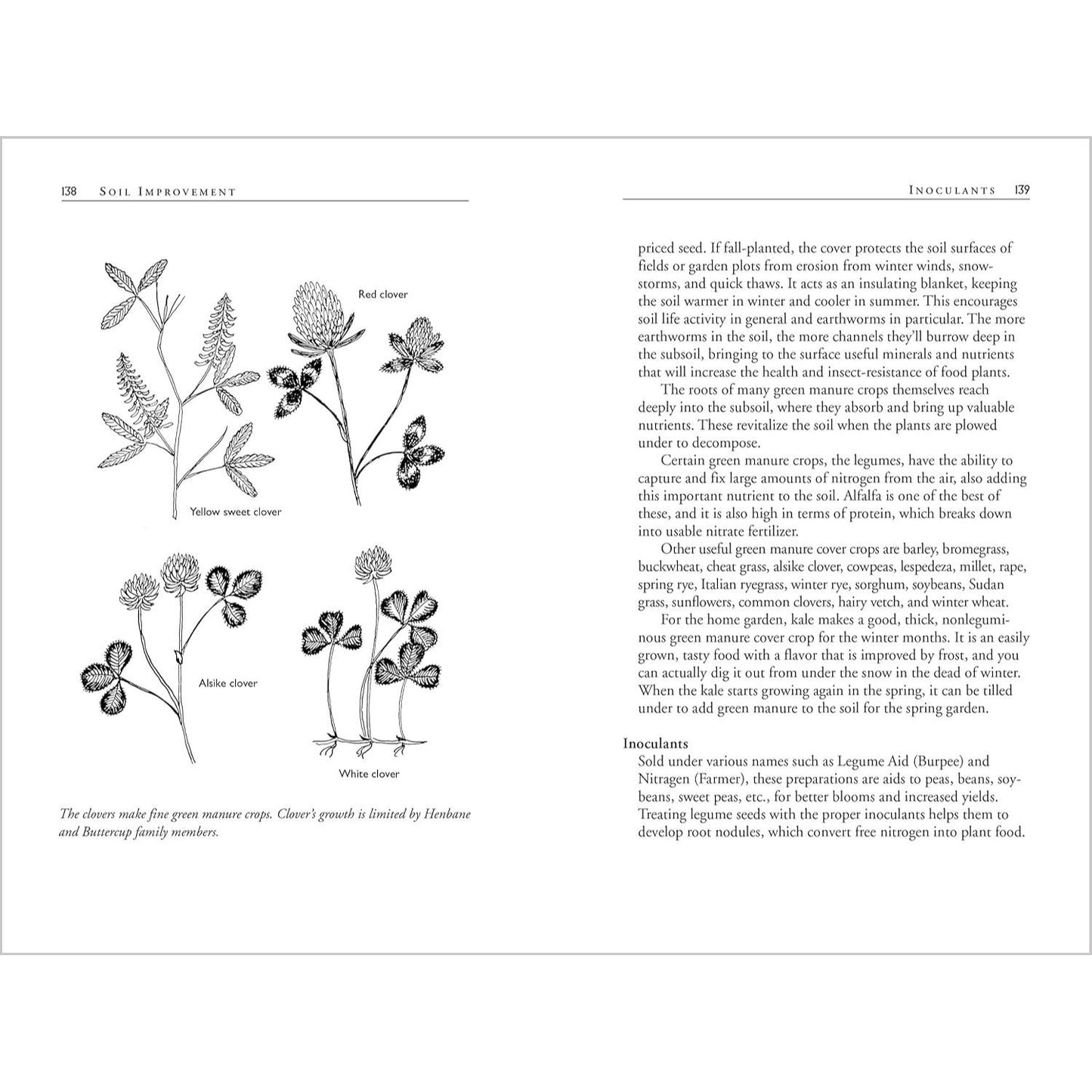 Carrots Love Tomatoes: Secrets of Companion Planting for Successful Gardening (Rev and Updated) (2ND ed.) (Spiral Bound)