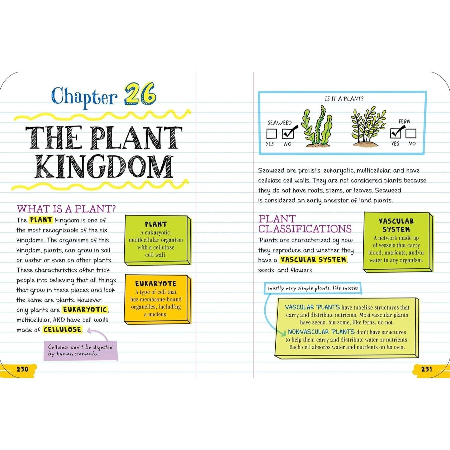 Everything You Need to Ace Biology in One Big Fat Notebook (Big Fat Notebooks) (Spiral Bound)
