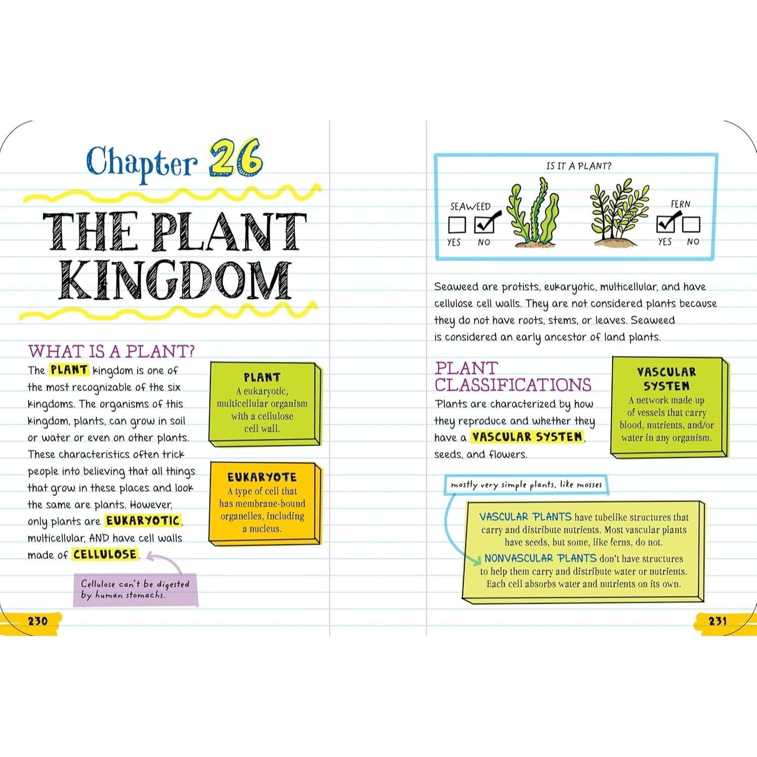 Everything You Need to Ace Biology in One Big Fat Notebook (Big Fat Notebooks) (Spiral Bound)