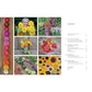 The Cut Flower Handbook: Select, Plant, Grow, and Harvest Gorgeous Blooms