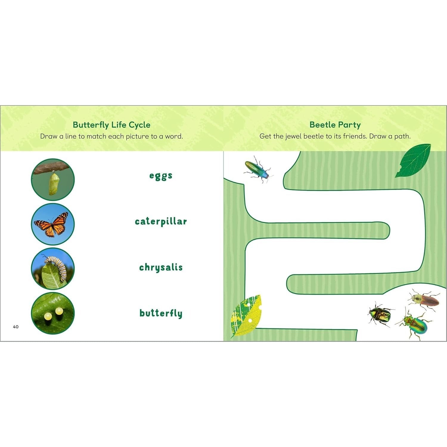 The Backyard Bug Book for Kids: Storybook, Insect Facts, and Activities (Let's Learn about Bugs and Animals) (Spiral Bound)