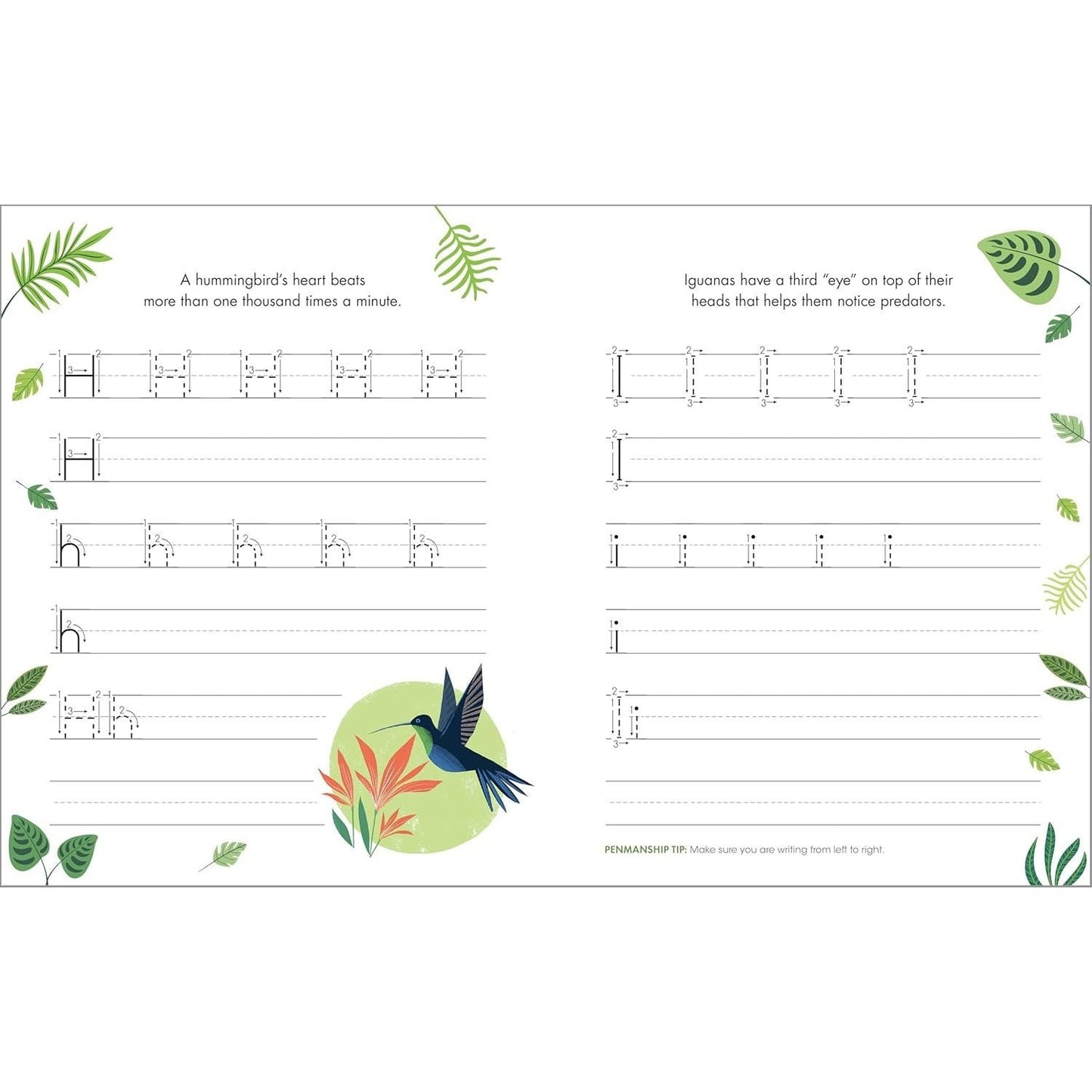 The Print Penmanship Workbook for Kids: Improve Your Handwriting with Fun Animal Facts