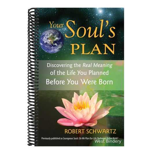Your Soul's Plan: Discovering the Real Meaning of the Life You Planned Before You Were Born