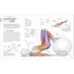 Science of Strength Training: Understand the Anatomy and Physiology to Transform Your Body (Spiral Bound)