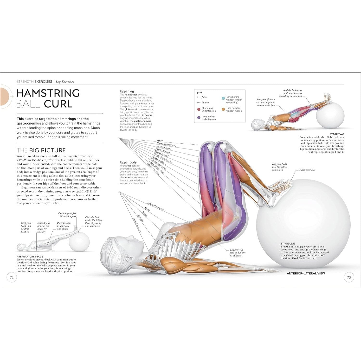 Science of Strength Training: Understand the Anatomy and Physiology to Transform Your Body (Spiral Bound)