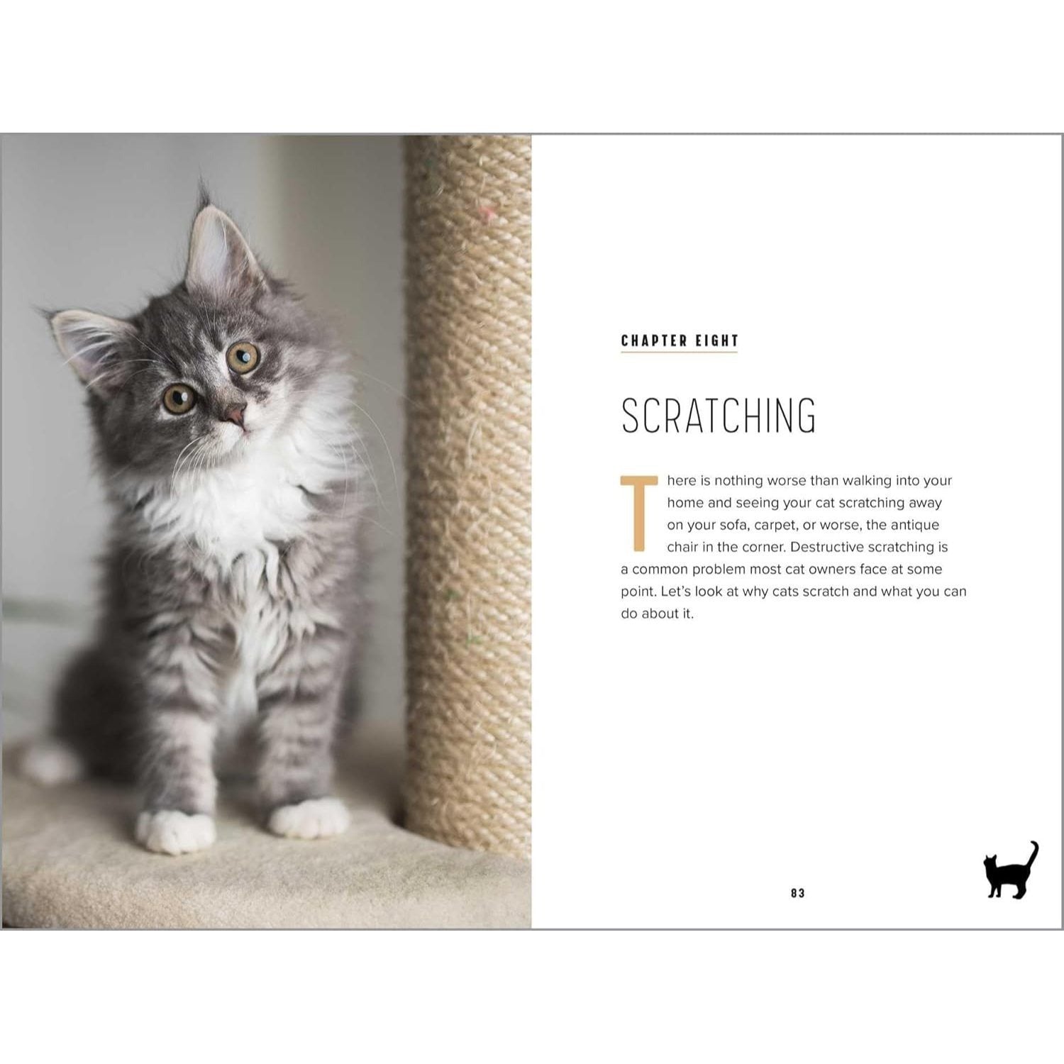 Understanding Cat Behavior: A Compassionate Guide to Training and Communication