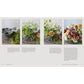 A Sweet Floral Life: Romantic Arrangements for Fresh and Sugar Flowers [A Floral Décor Book] (Spiral Bound)