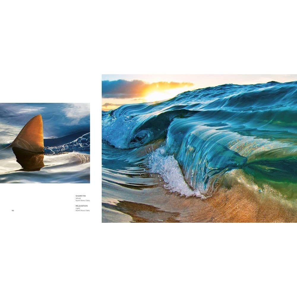Clark Little: The Art of Waves