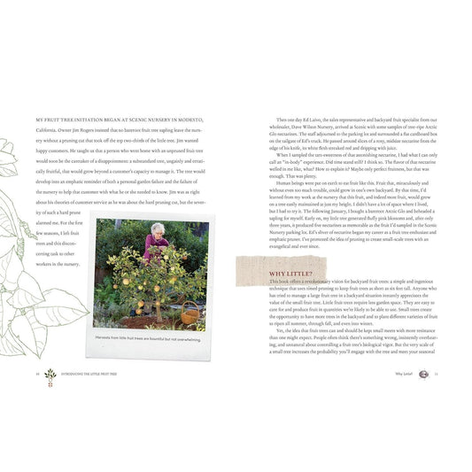 Grow a Little Fruit Tree: Simple Pruning Techniques for Small-Space, Easy-Harvest Fruit Trees (Spiral Bound)