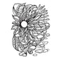 Creative Haven Sunrise Sunset Coloring Book