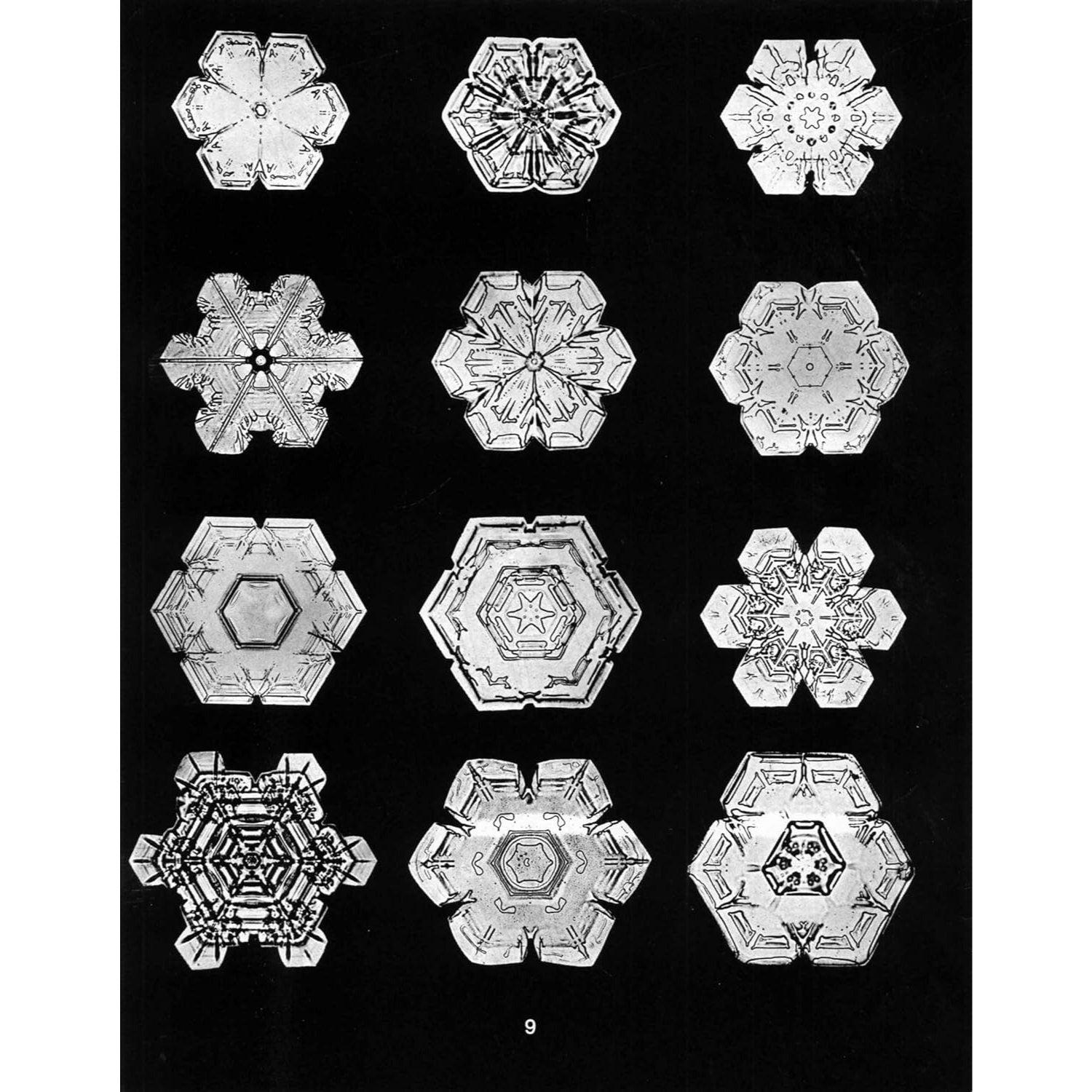 Snowflakes in Photographs