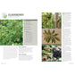 Foraging: Explore Nature's Bounty and Turn Your Foraged Finds Into Flavorful Feasts (Spiral Bound)