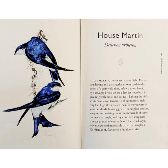 The Book of Birds: A Field Guide to Wonder and Loss