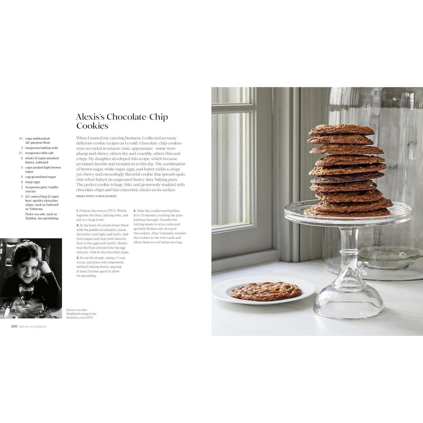 Martha: The Cookbook: 100 Favorite Recipes, with Lessons and Stories from My Kitchen (Spiral Bound)