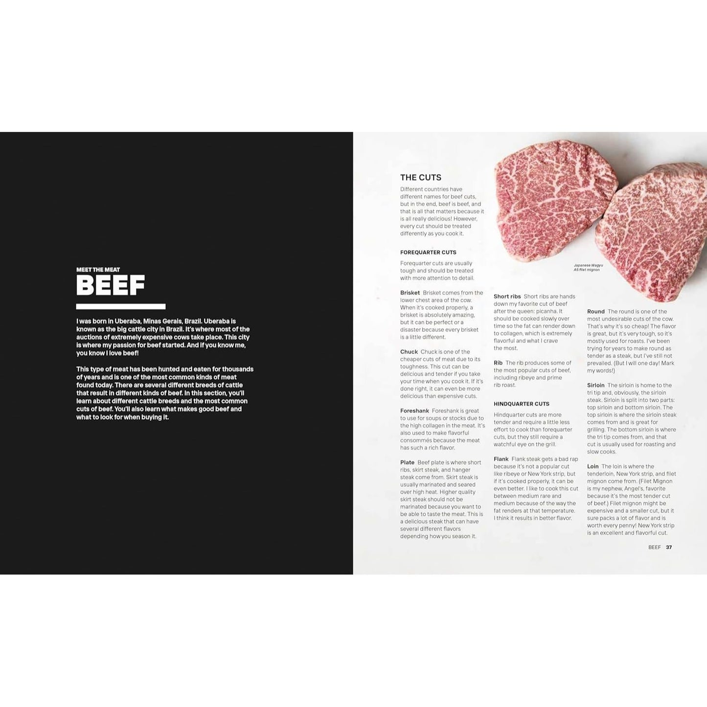 Guga: Breaking the Barbecue Rules (Spiral Bound)