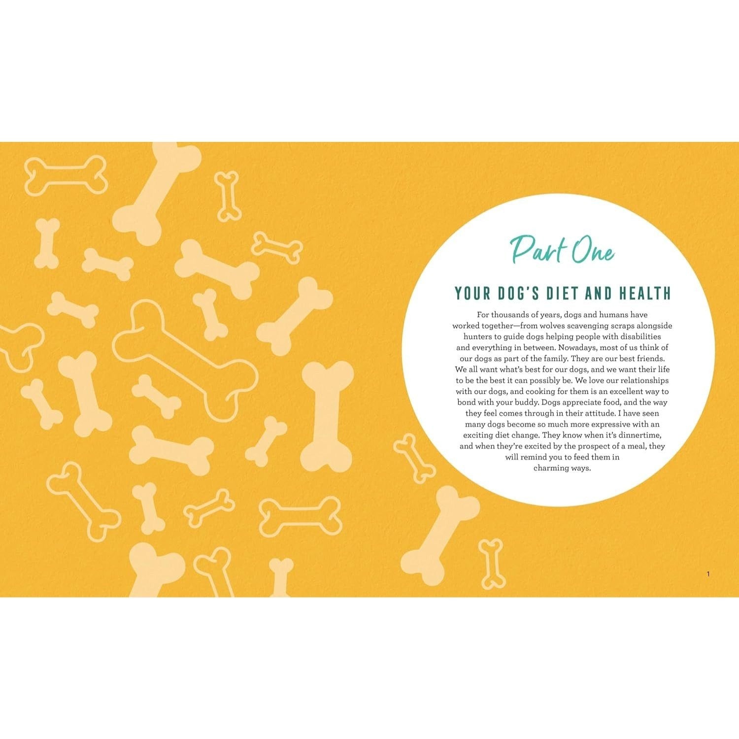 Easy Dog Food Recipes: 60 Healthy Dishes to Feed Your Pet Safely